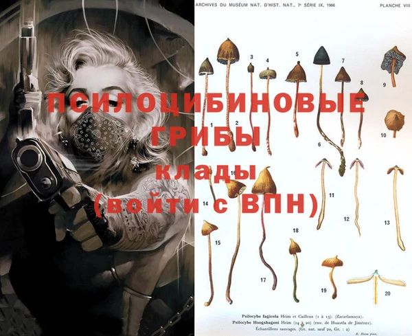 спайс Гусиноозёрск