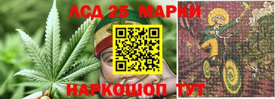 apvp Апшеронск