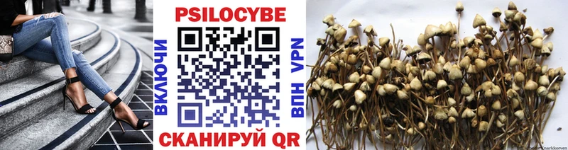 Псилоцибиновые грибы Psilocybine cubensis Купить где Джанкой