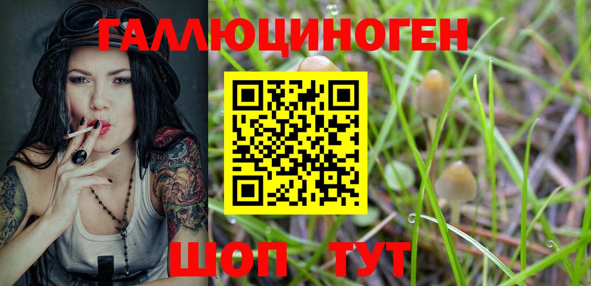 Псилоцибиновые грибы MAGIC MUSHROOMS Джанкой